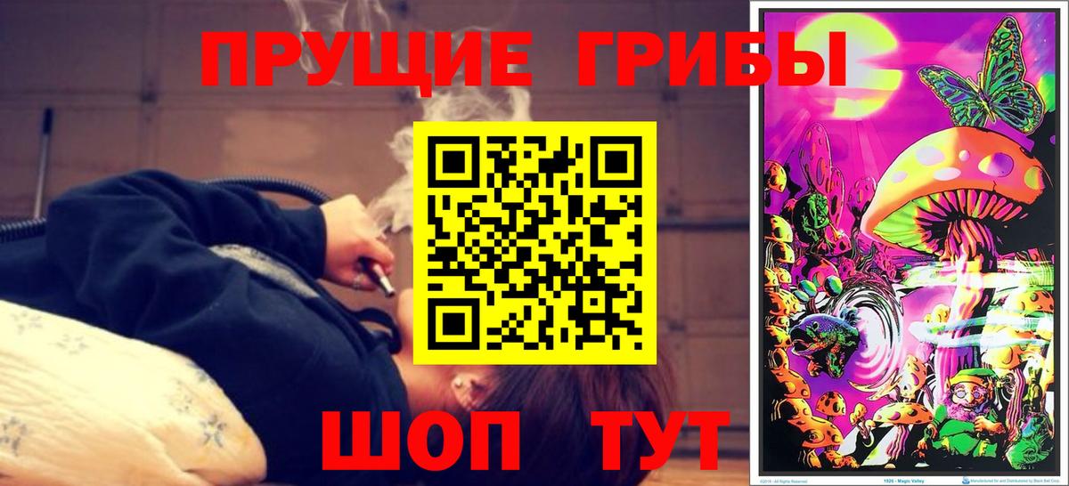 Галлюциногенные грибы ЛСД Карачаевск