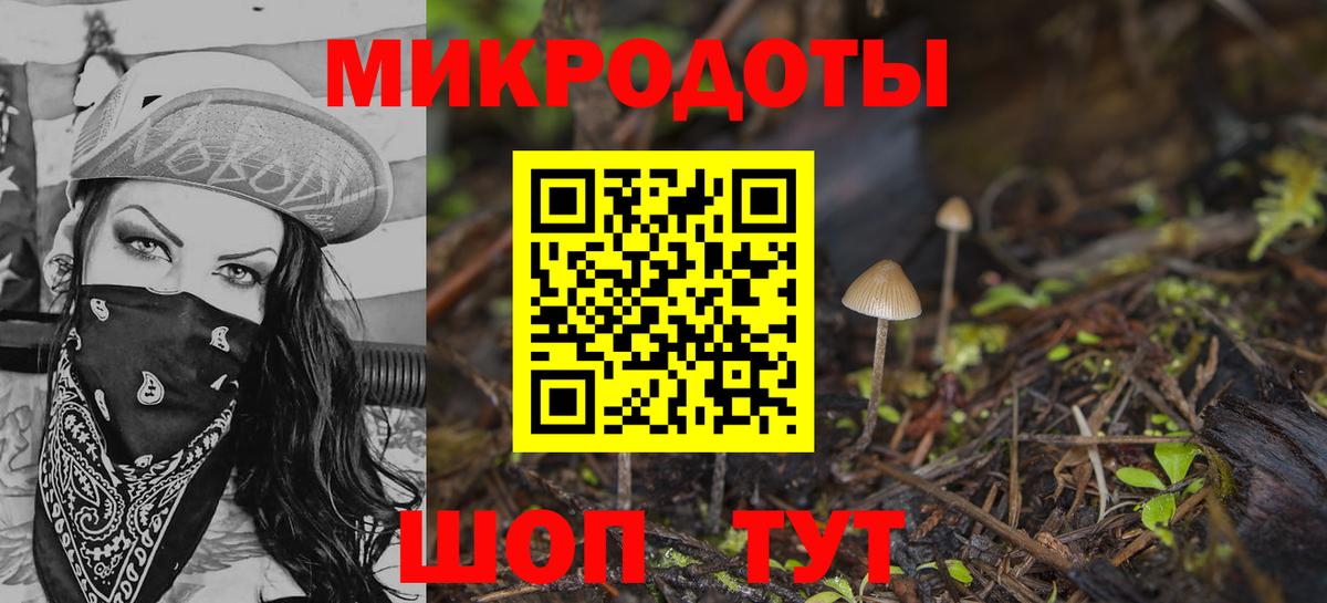 Карачаевск  Галлюциногенные грибы Magic Shrooms  Вход с VPN 
